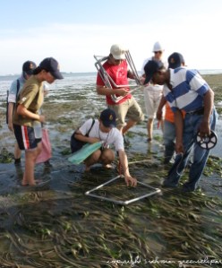 mns-activities mns-activities