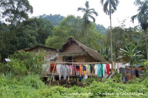 semai-ulu-geroh-village