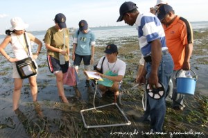 sos-volunteers-at-work