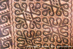 Heidi Munan Penan mat